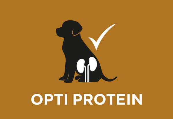 Teor restrito de proteínas, mas de alta qualidade