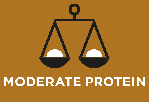 Teor moderado de proteína, mas de alta qualidade