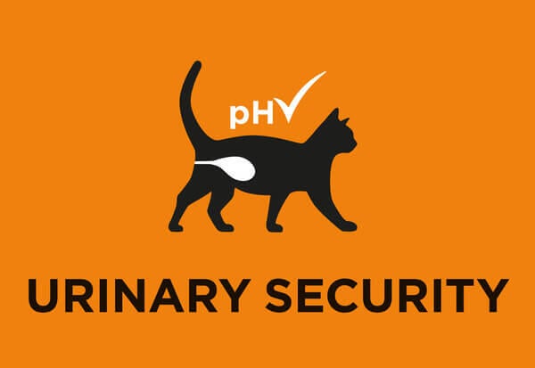 Segurança urinária