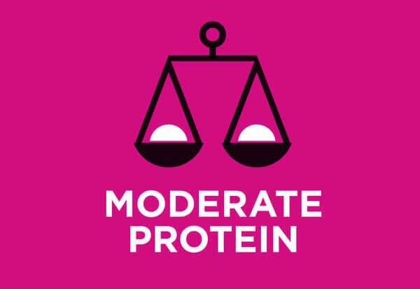 Teor moderado de proteína