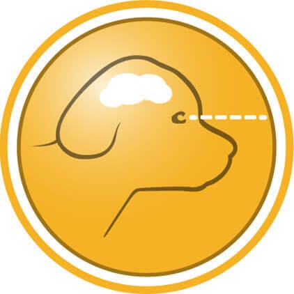 Para o desenvolvimento saudável do cérebro e da visão