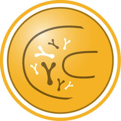 Melhor equilíbrio da microbiota intestinal