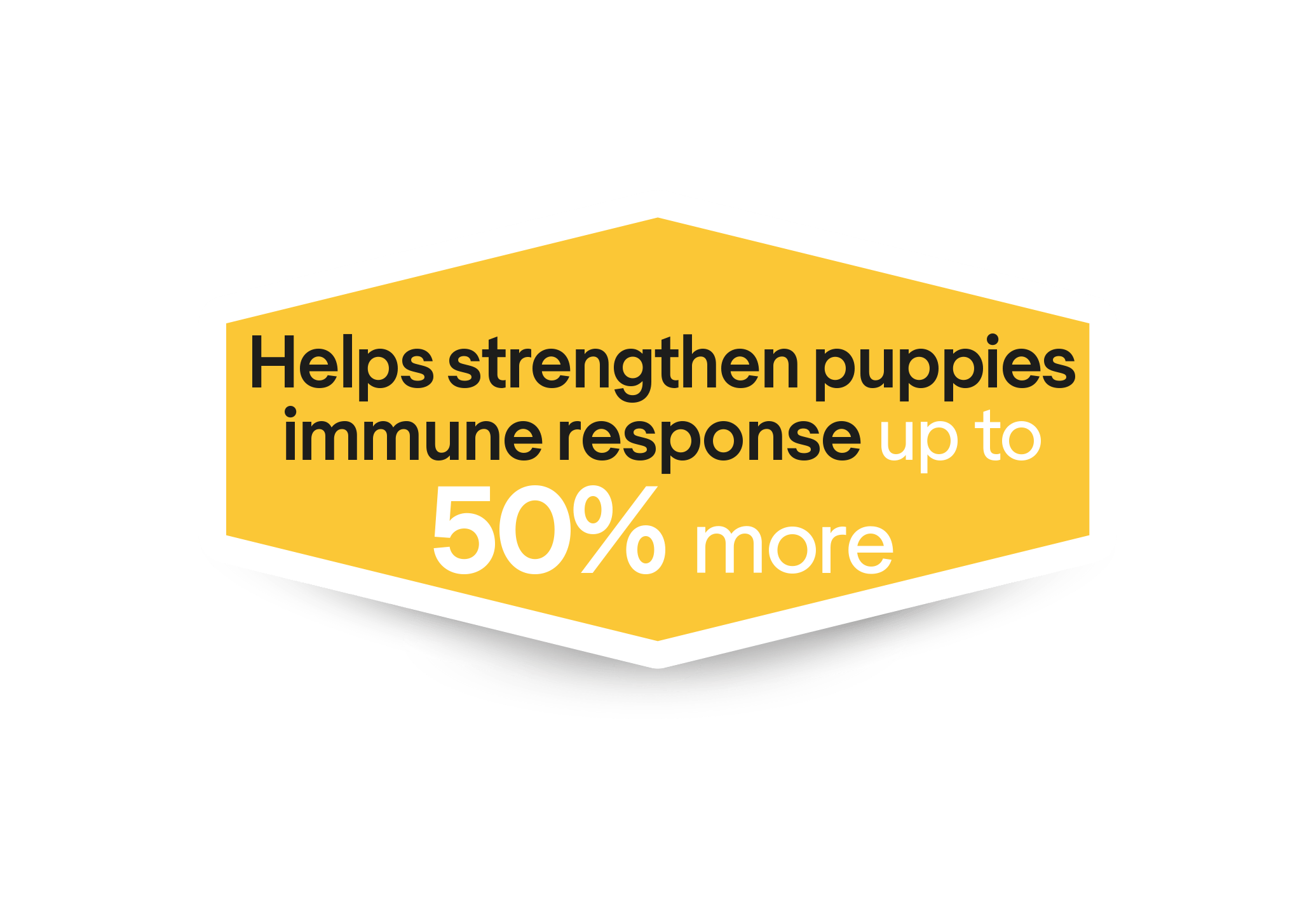 Ajuda a fortalecer a resposta imunitária dos cachorros até mais 50%