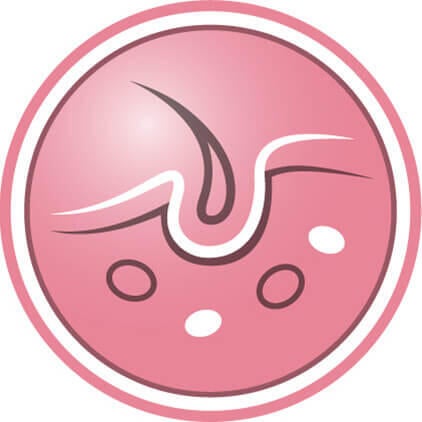 Para ajudar a promover a pele & pelagem saudáveis