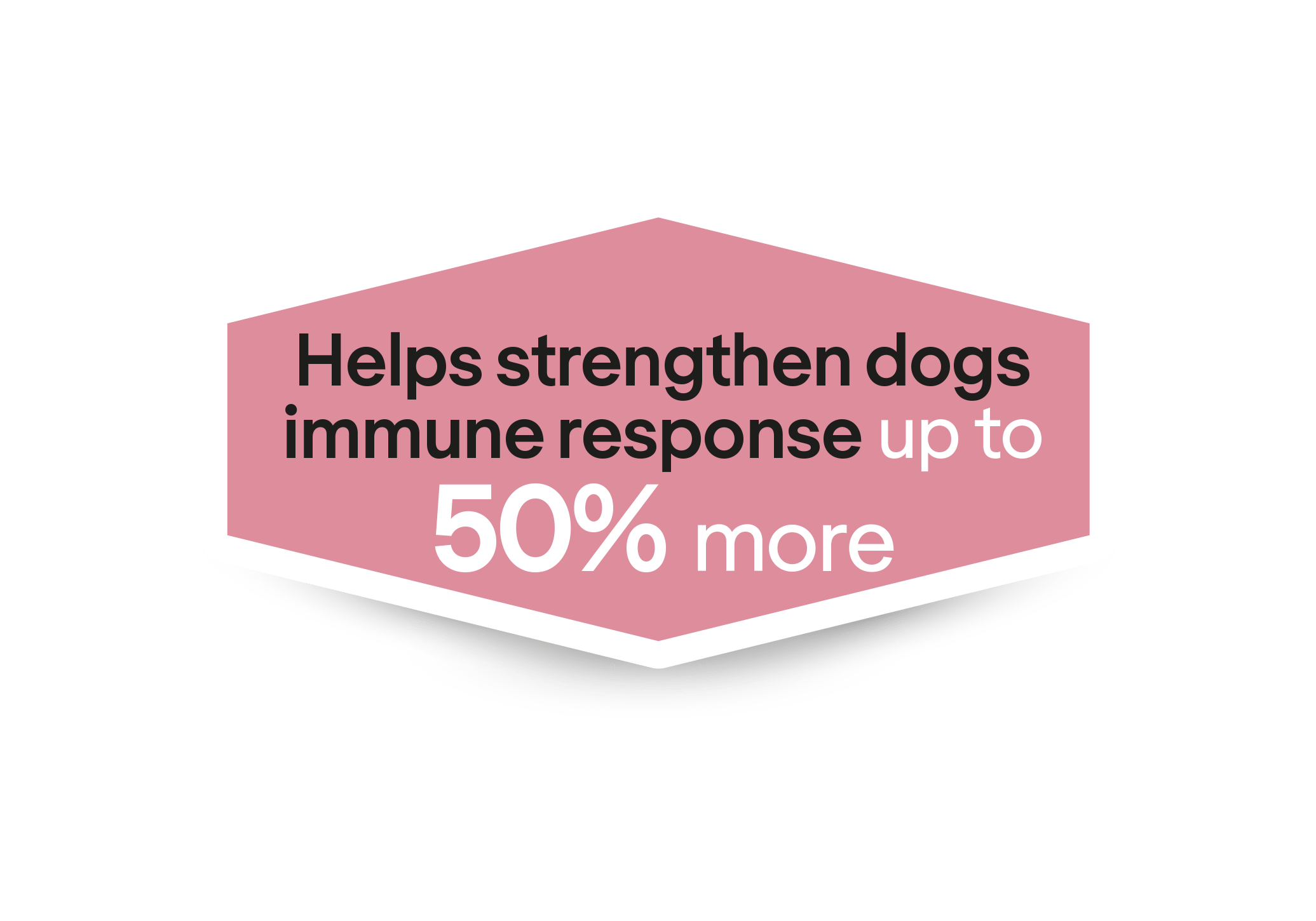 Ajuda a fortalecer a resposta imunitária dos cães até mais 50%