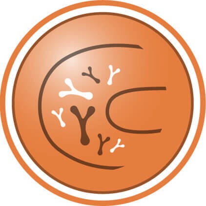 Melhor equilíbrio da microbiota intestinal