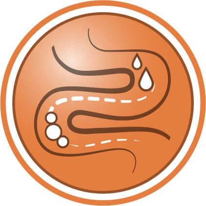  Ajuda a melhorar a qualidade fecal