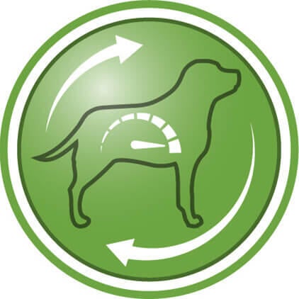 Ajuda a reduzir a sensação de fome e a promover a saciedade