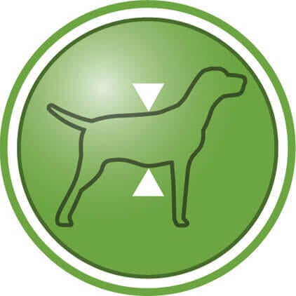 Ajuda a manter a massa corporal magra