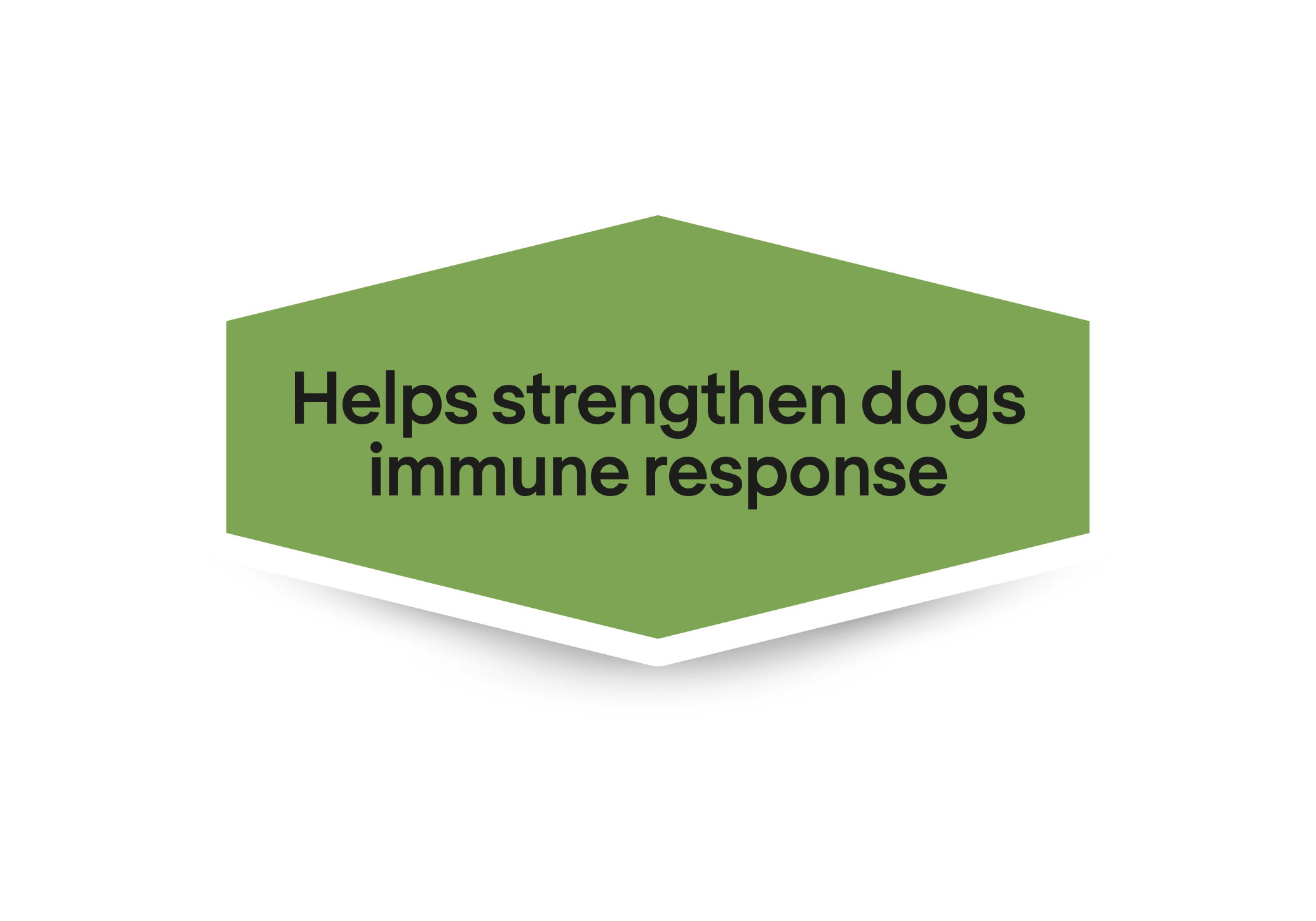 Ajuda a fortalecer a resposta imunitária dos cães