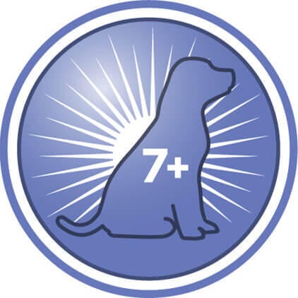 Ajuda a aumentar os níveis de atividade, vivacidade e interação de cães mais velhos nas brincadeiras