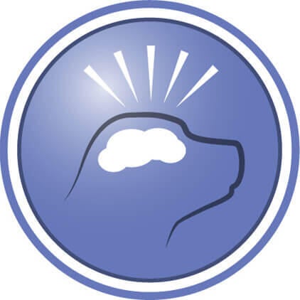 Ajuda, comprovadamente, a promover a função cognitiva e a aumentar os níveis de atividade