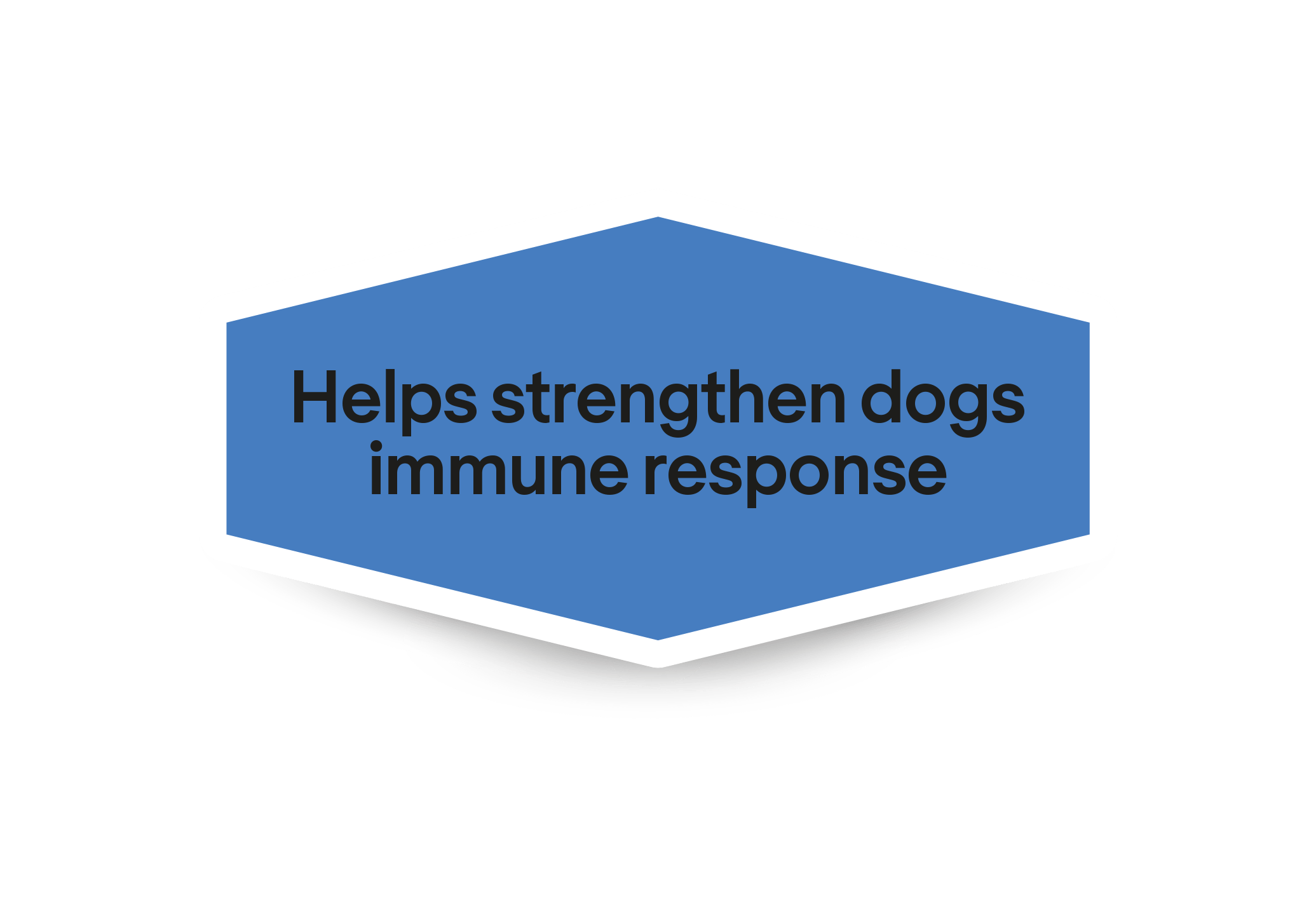 Ajuda a fortalecer a resposta imunitária dos cães