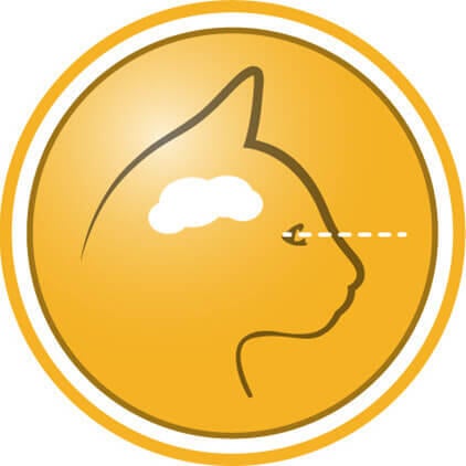 Ajuda a promover um desenvolvimento saudável do cérebro e da visão