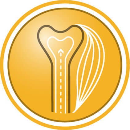 Ajuda a promover um crescimento saudável dos ossos e dos músculos