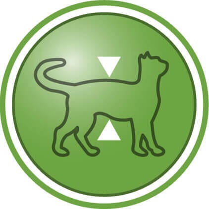 Ajuda a manter a massa corporal magra após a esterilização