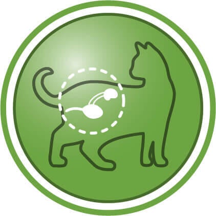 Ajuda a manter a saúde do trato urinário em gatos esterilizados