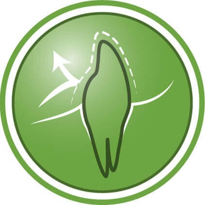 Ajuda a proteger os dentes da placa bacteriana e da formação de tártaro