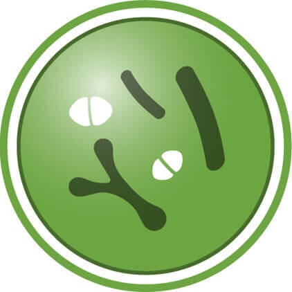 Com colostro
