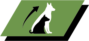 Crescimento saudável e saúde a longo prazo