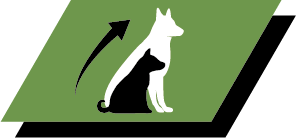 Crescimento saudável e saúde a longo prazo