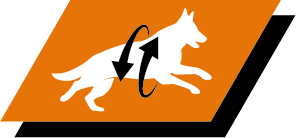 Apoia articulações saudáveis e um estilo de vida ativo