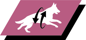 Apoia articulações saudáveis e um estilo de vida ativo