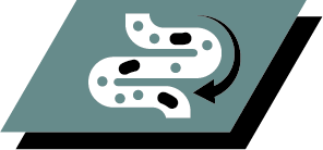 Melhor equilíbrio da microflora intestinal