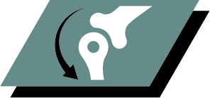 Apoia articulações saudáveis