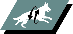 Apoia articulações saudáveis e um estilo de vida ativo