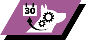 Melhora a curiosidade e a capacidade de reação