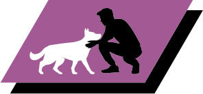 Ajuda a promover a interação com a família