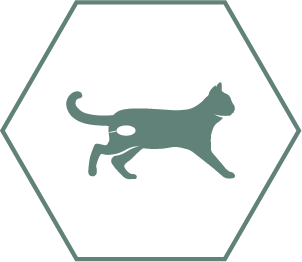 Mantém a saúde urinária em gatos esterilizados graças ao equilíbrio de minerais