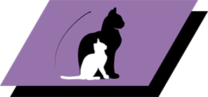 Para desmame de gatinhos