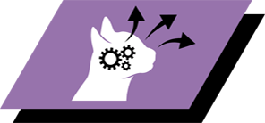 Ajuda a suportar uma visão saudável e o desenvolvimento do cérebro