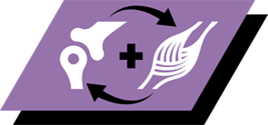 Ajuda a suportar o crescimento saudável de ossos e músculo