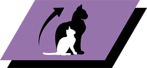 Desenvolvimento saudável suportado por um perfil de nutrientes adaptado à fase de crescimento