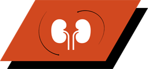 Com arginina, antioxidantes e ácidos gordos ómega 3 para promover uma função renal saudável