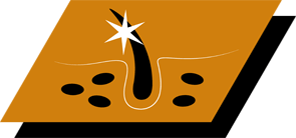 Com ácidos gordos omega 3 e 6 para manter uma pele saudável & pelo bonito