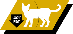 Formulado com elevado nível de proteína e menos 30% de gordura 1 para ajudar a manter a massa muscular magra enquanto promov