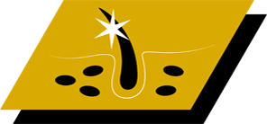 Ajuda a manter uma pele saudável e pelo brilhante graças a vitamina A, ácido linoleico e zinco