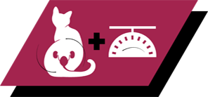 Desenvolvido para gatos esterilizados para manter a saúde urinária e um peso corporal ideal 