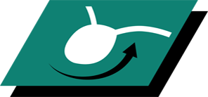 Ajuda a manter a saúde urinária promovendo uma urina diluída