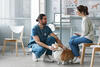 Veterinário acariciando um cachorro enquanto conversa com cliente em clínica