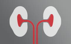 Saúde renal