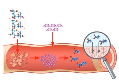 Prebióticos e simbióticos na ciência em torno de animais de companhia