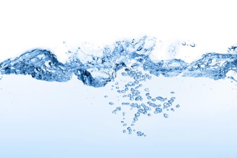 Efeitos da ingestão de água enriquecida com nutrientes na ingestão de água e índices de hidratação em gatos domésticos saudáv