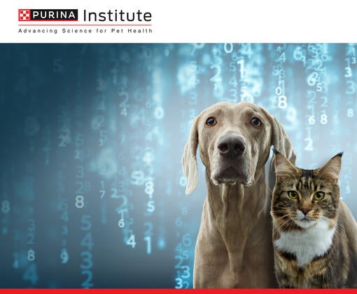 CUIDADOS MÉDICO-VETERINÁRIOS DE ÚLTIMA GERAÇÃO SUPORTADOS PELA TECNOLOGIA