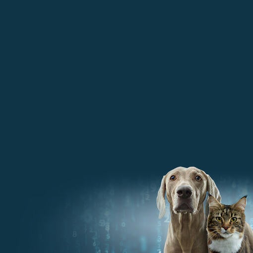 CUIDADOS MÉDICO-VETERINÁRIOS DE ÚLTIMA GERAÇÃO SUPORTADOS PELA TECNOLOGIA