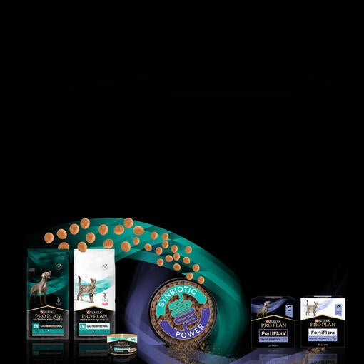 Prebiótico e Probiótico